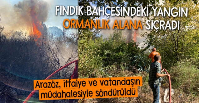 Hendek’te korkutan yangın