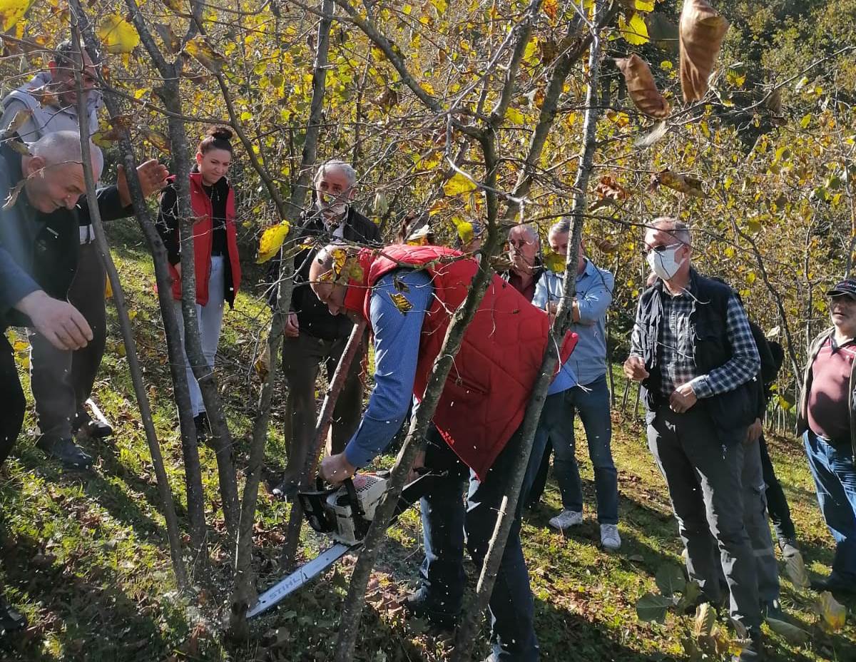 Tarımda En İyisi Tercih Değil Artık Zorunluluk
