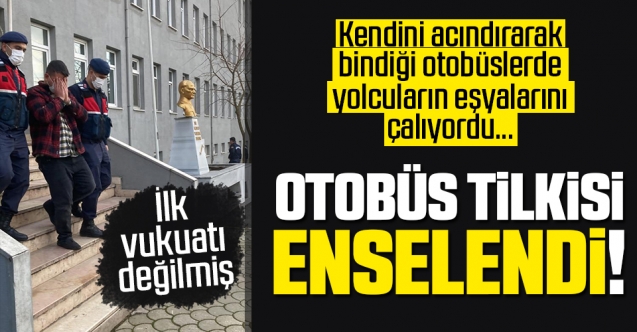 Jandarmadan Tilki Operasyonu