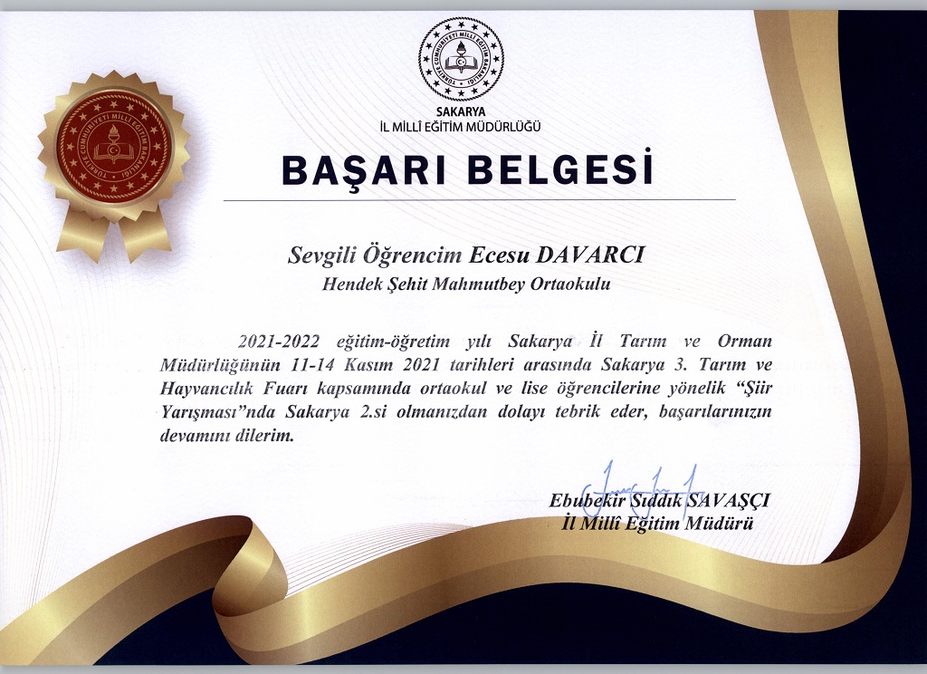 YARIŞMALARDA HENDEK FARKI