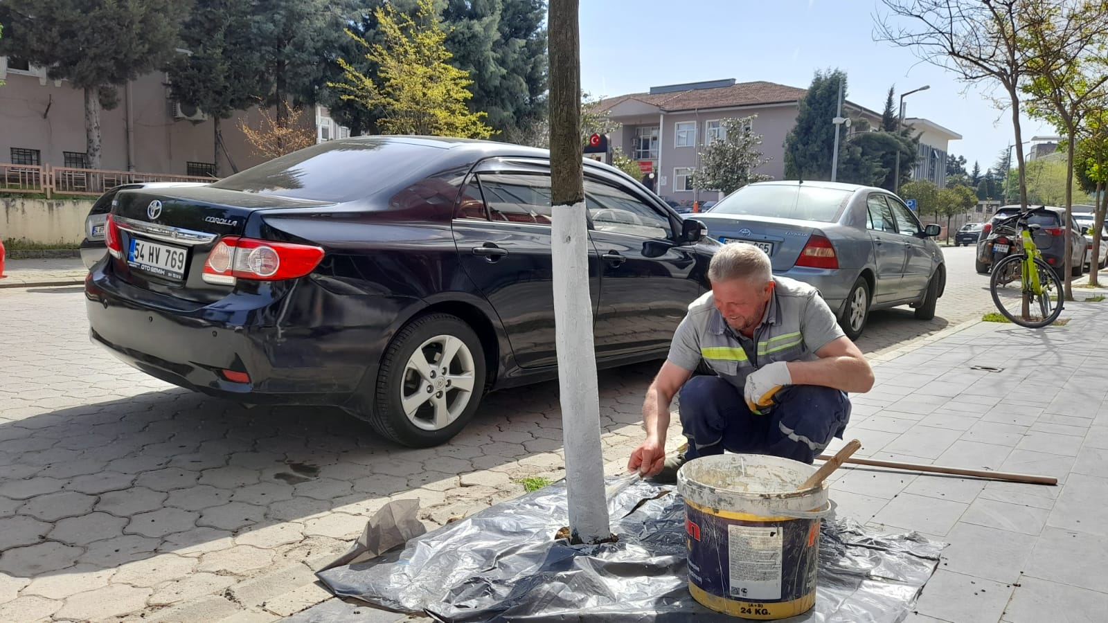 HENDEK BELEDİYESİNDEN AĞAÇ UYARISI