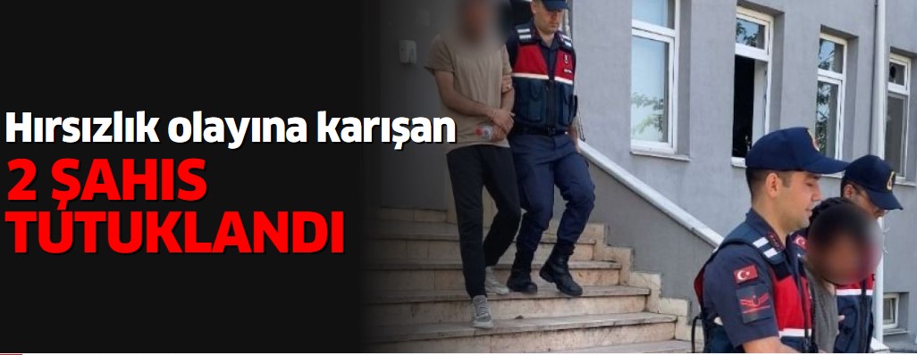 Hırsızlar Jandarma'dan Kaçamadı