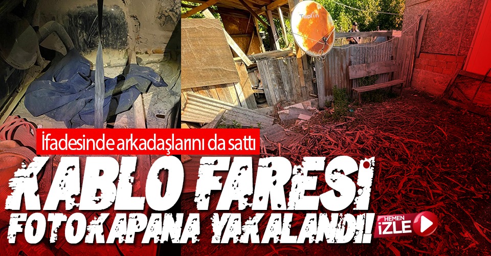 Kablo Faresi Fotokapana Yakalandı