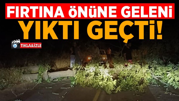 Fırtına Ağaçları Devirdi, Yol Kapandı