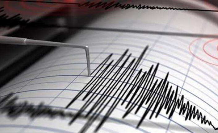 Hendek'te Gece Yarısı Hafif Şiddette Deprem
