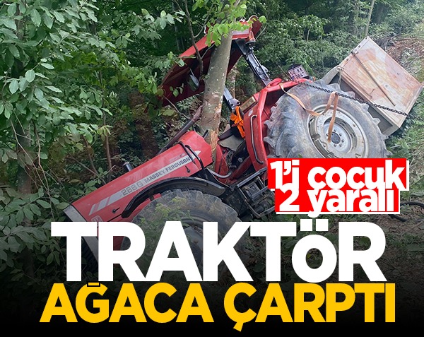 Yoldan çıkan Traktör Ağaca Çarparak Durdu