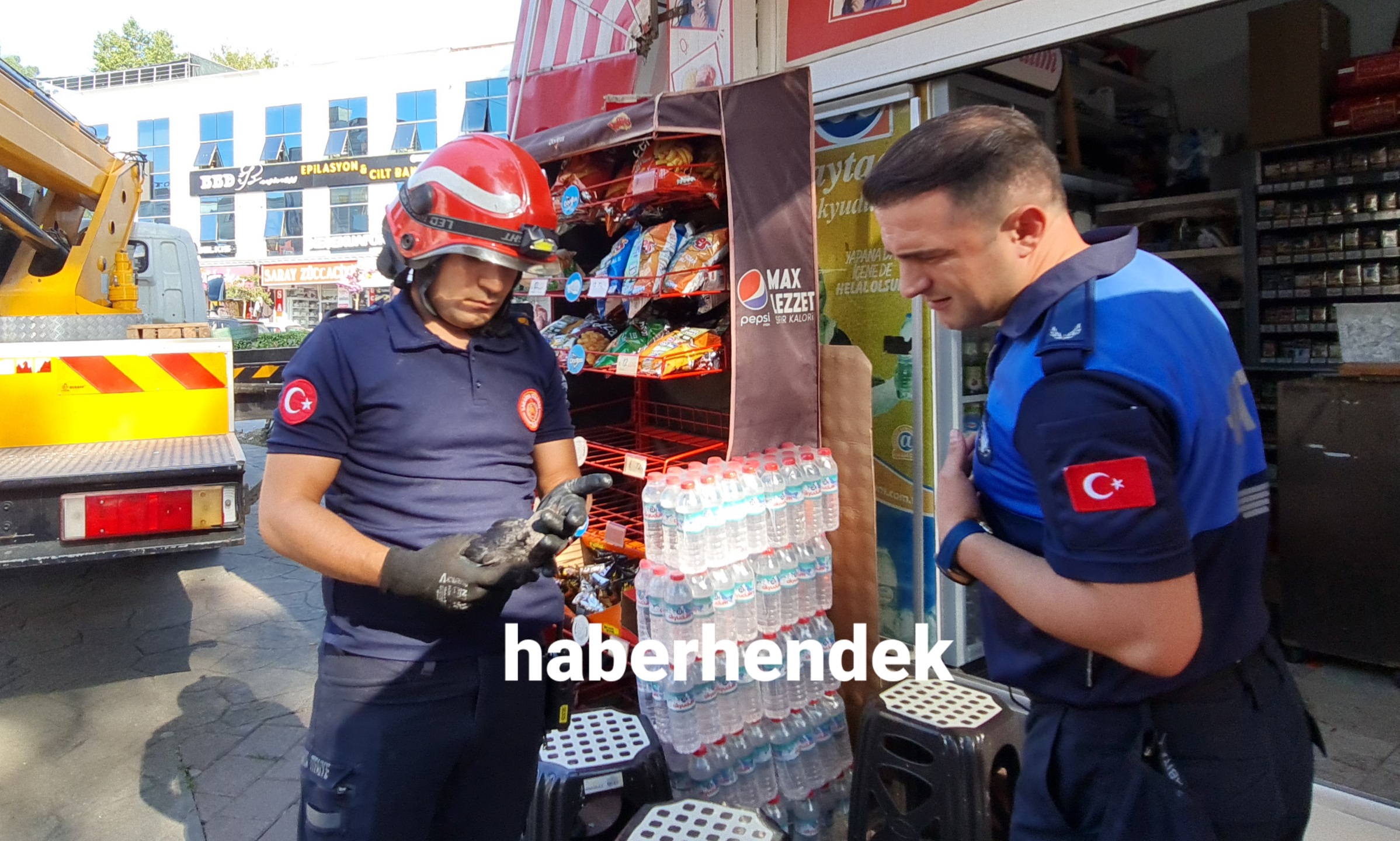 Ağaçta mahsur kalan Karga için seferber oldular