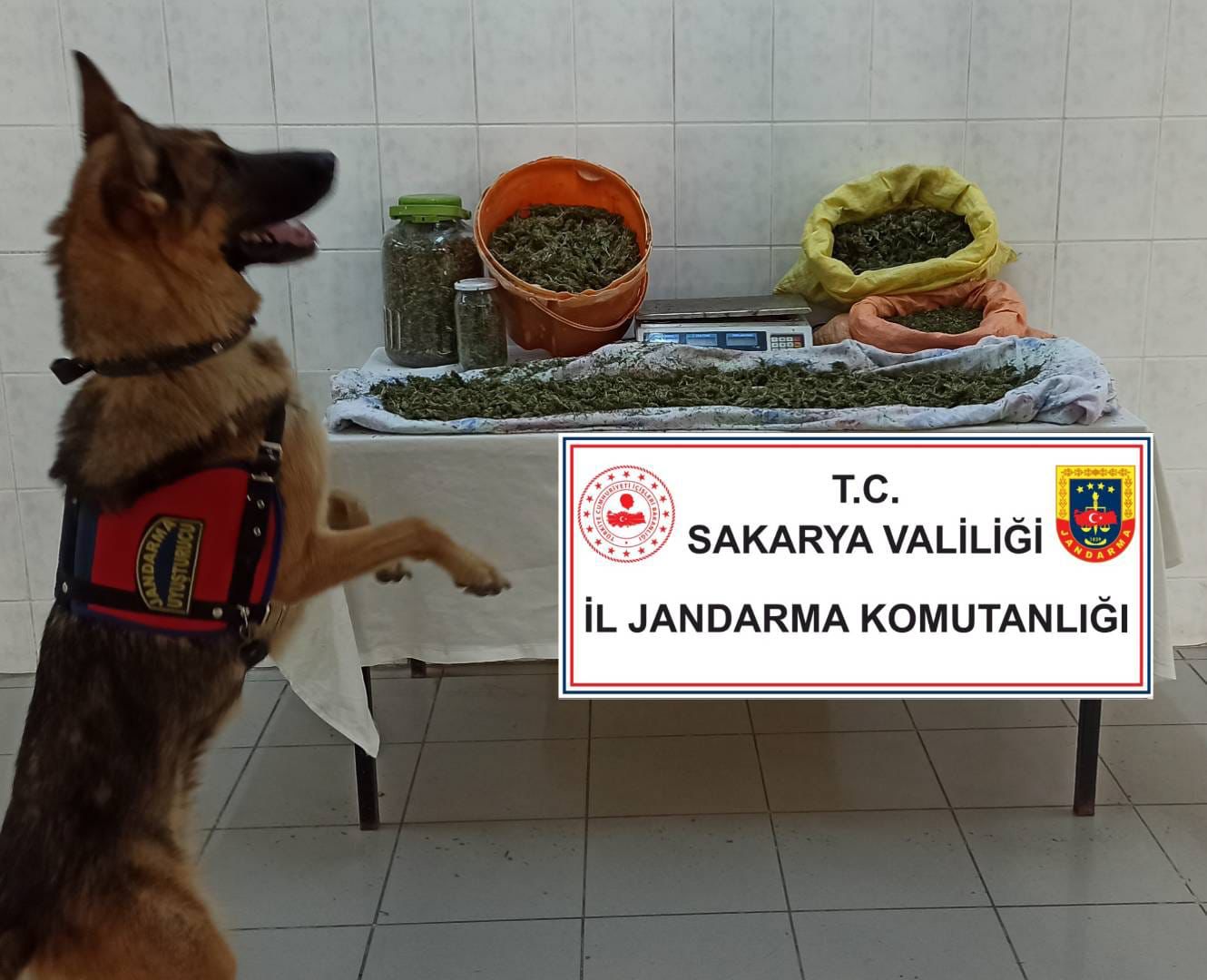 Jandarmadan Uyuşturucu operasyonu