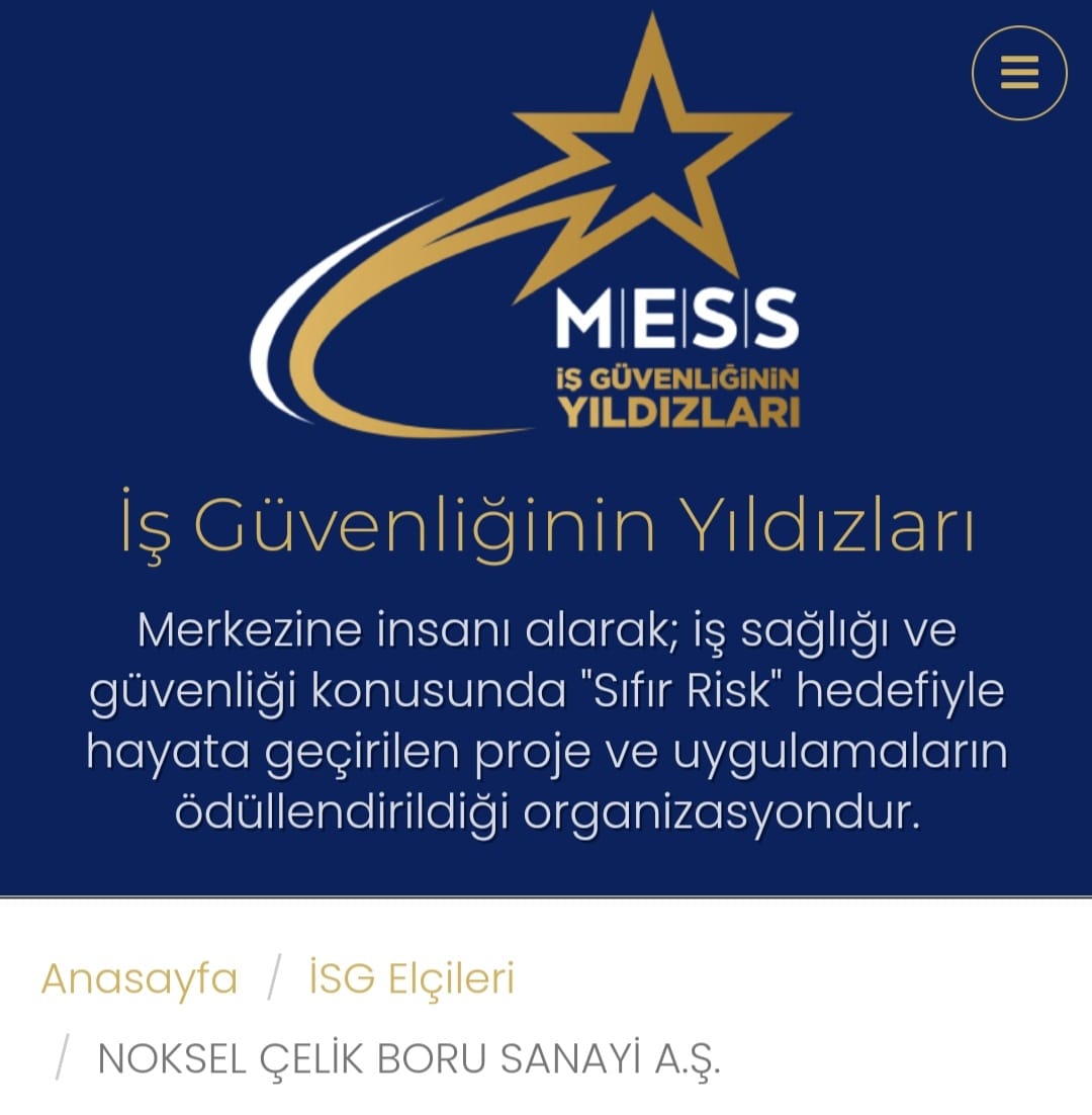 MESS İş Güvenliğinin Yıldızları Yarışmasında Online Oylama Başladı