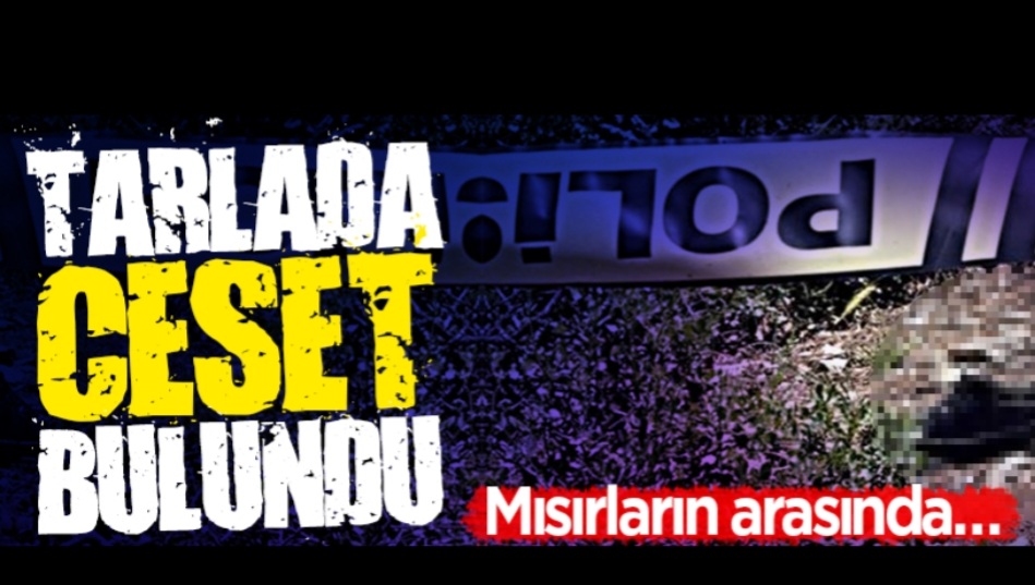 Mısır tarlasında ceset bulundu