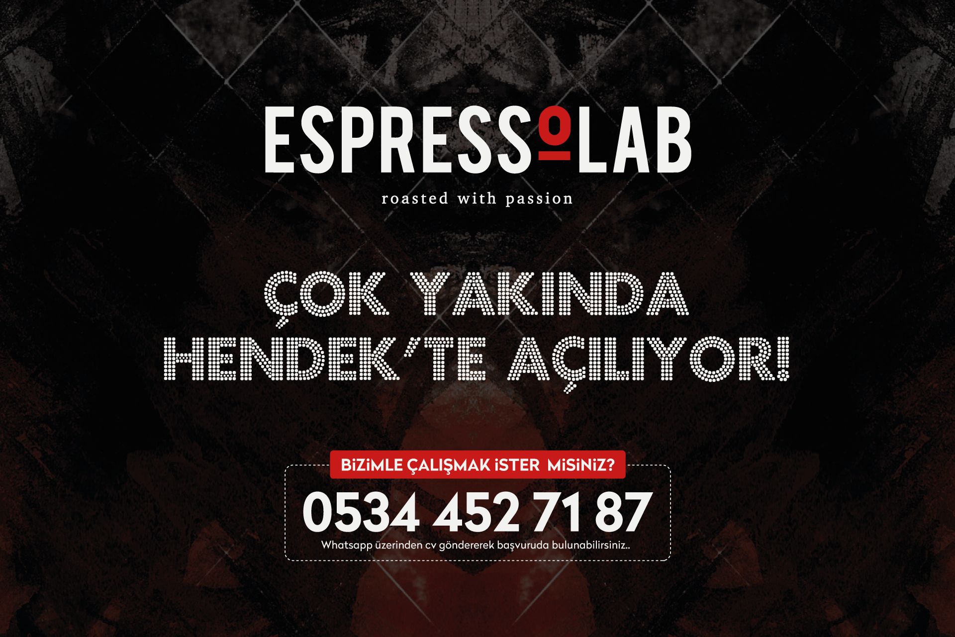 Çalışma Arkadaşları Arıyoruz