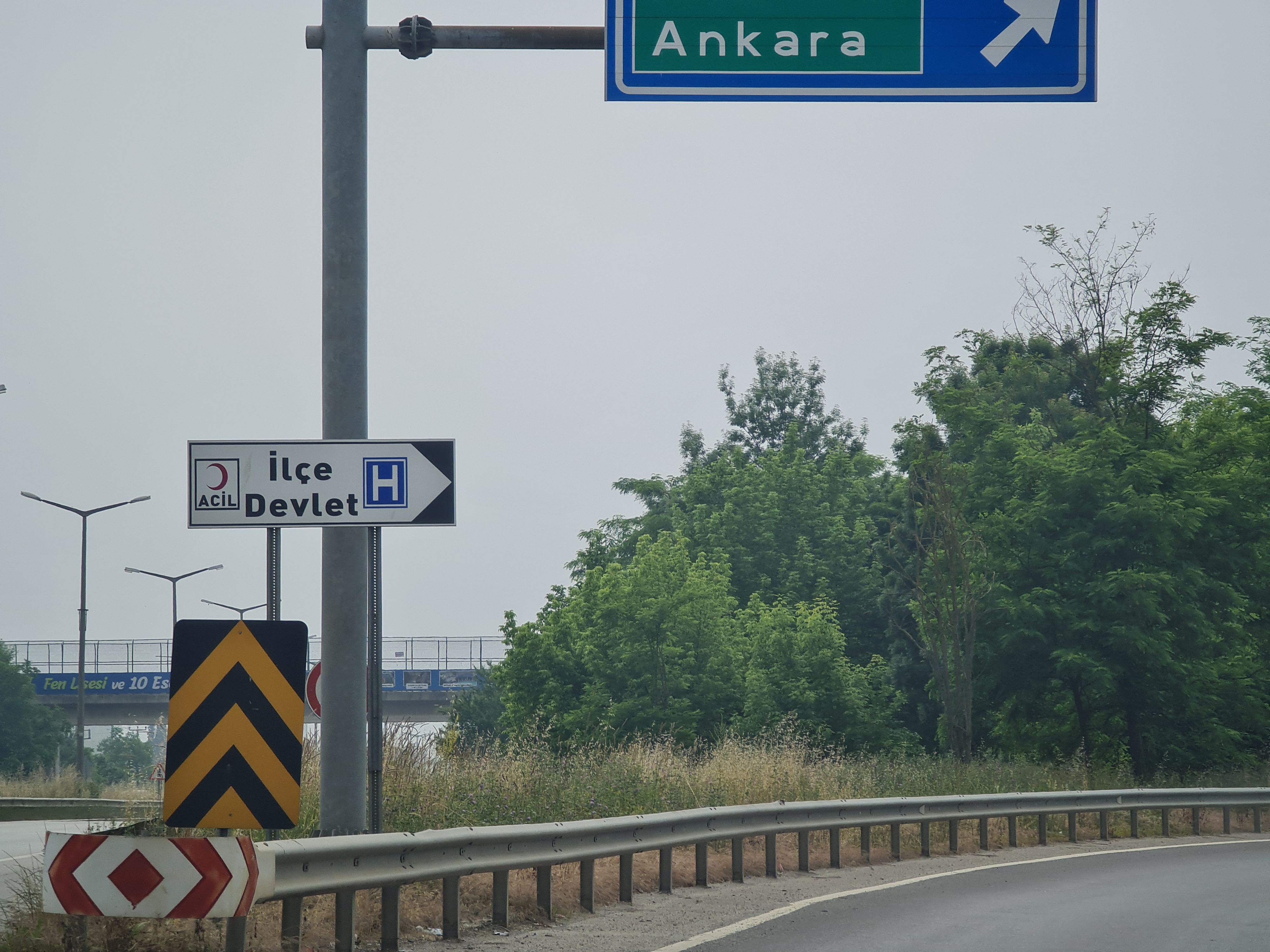 Karayolunda ki Otlar ne zaman biçilecek