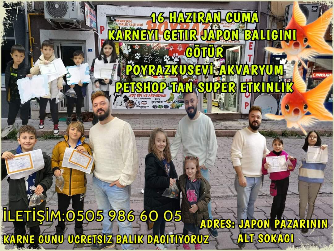 Karnesini Getirene Japon Balığı hediye